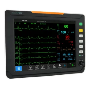 Monitor HD10