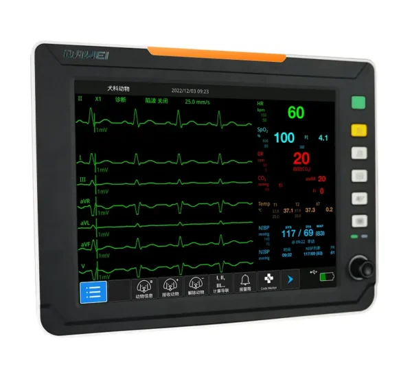 Monitor HD10